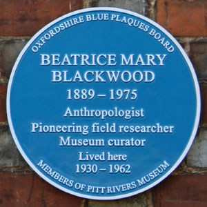 Plaque