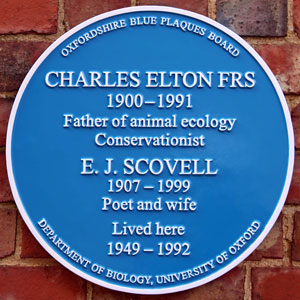 Plaque
