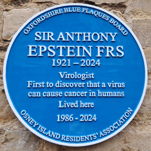 Epstein Plaque